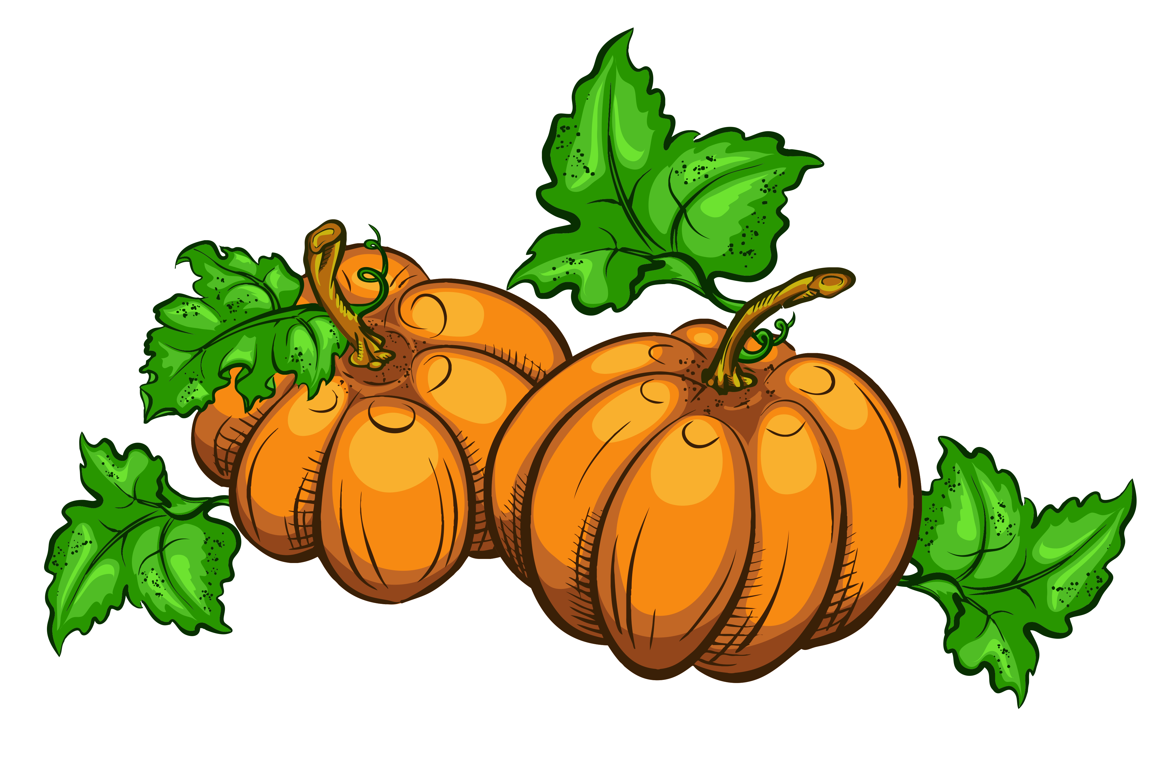 thanksgiving pumpkin clipart - Clipground