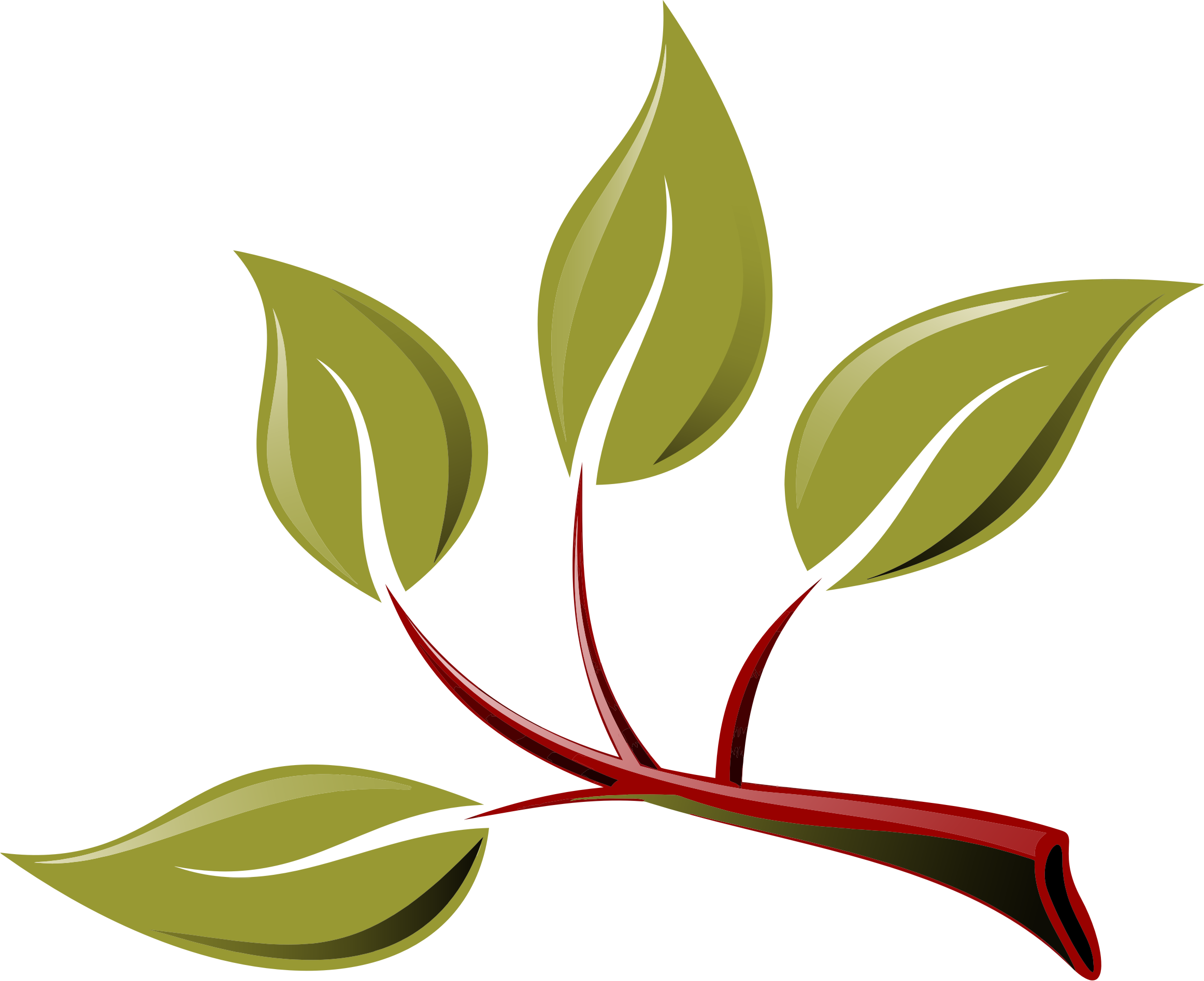The leaves of the branch clipart - Clipground