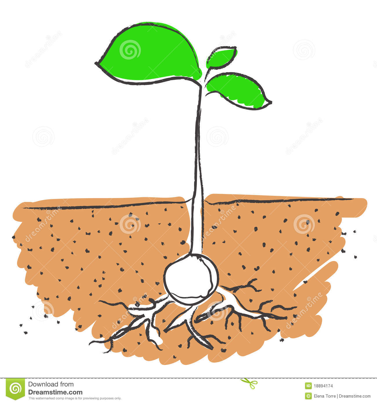 clipart planting seeds - photo #9