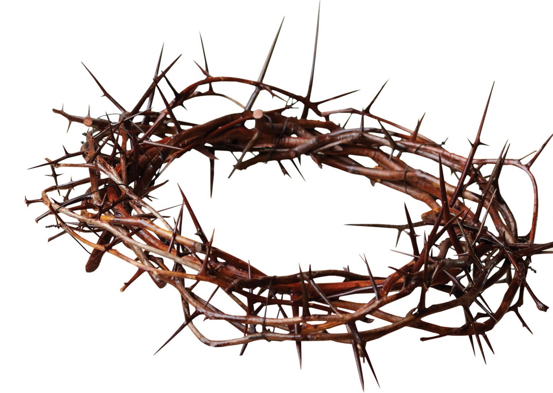 crown of thorns clipart - photo #38