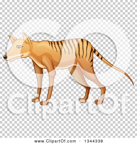 Thylacine clipart - Clipground
