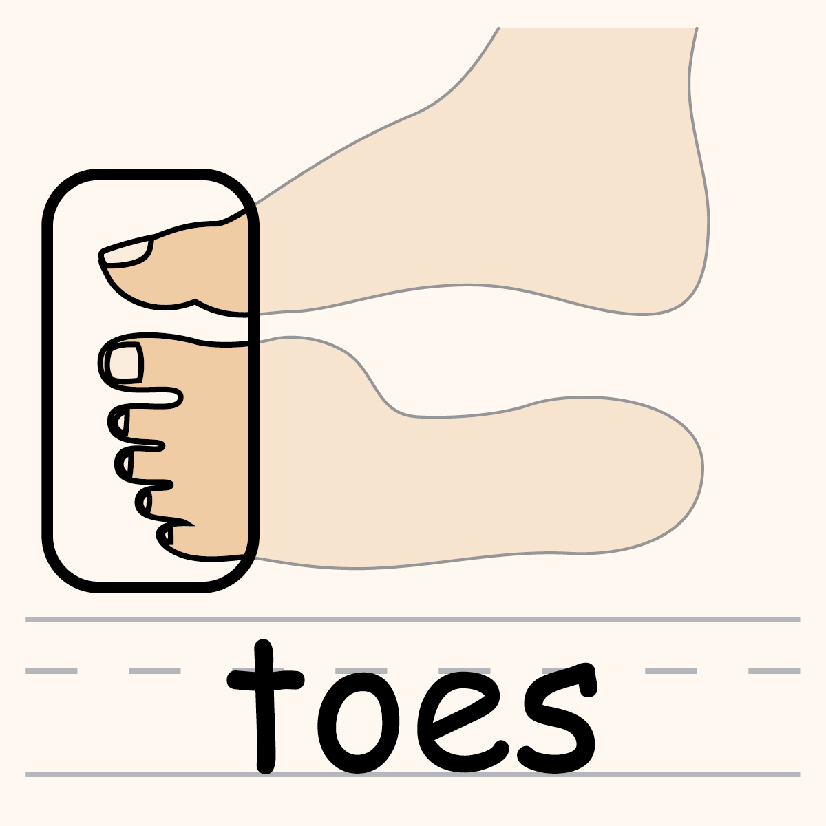 Toes clipart - Clipground