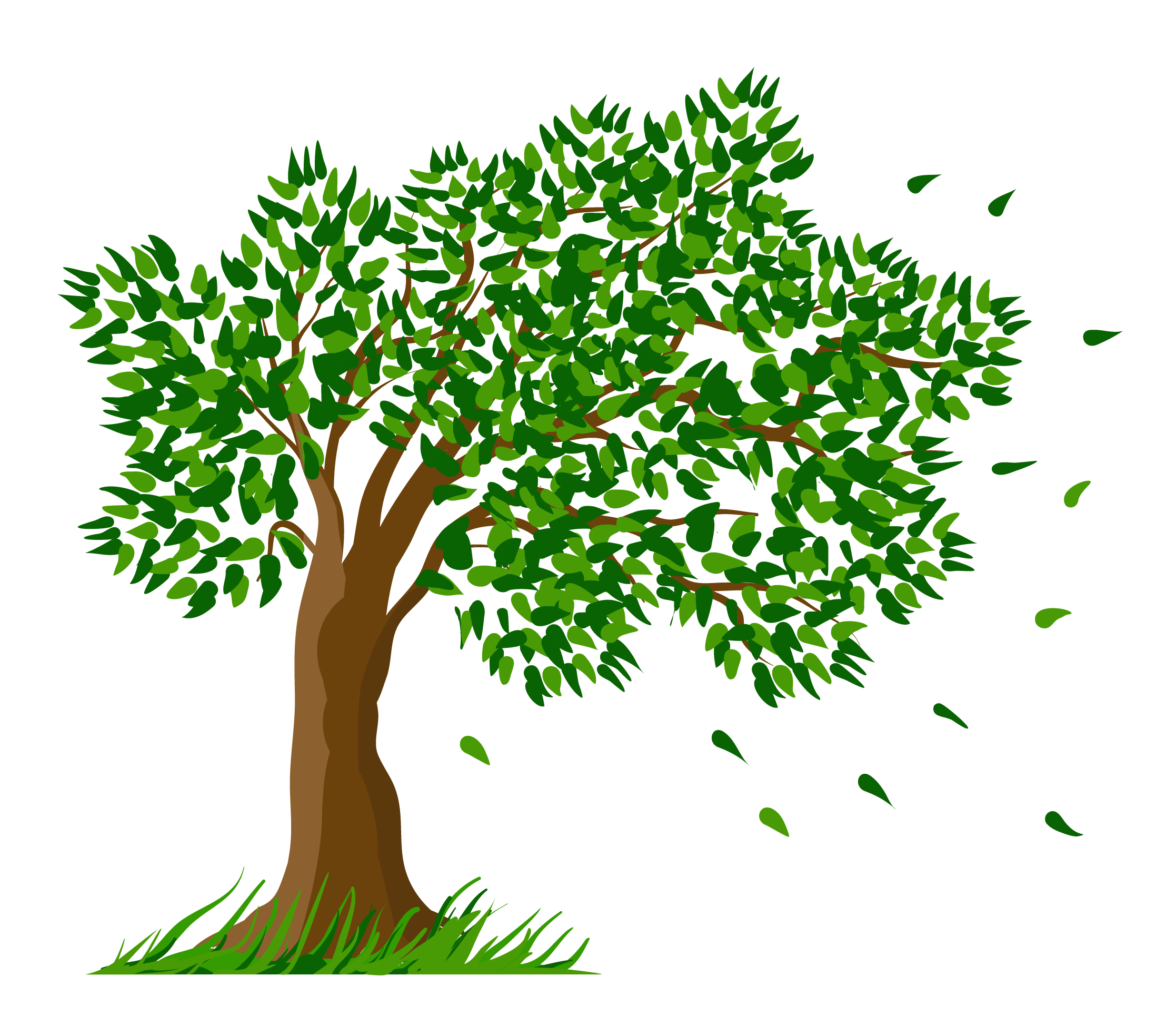 transparent tree clipart - Clipground