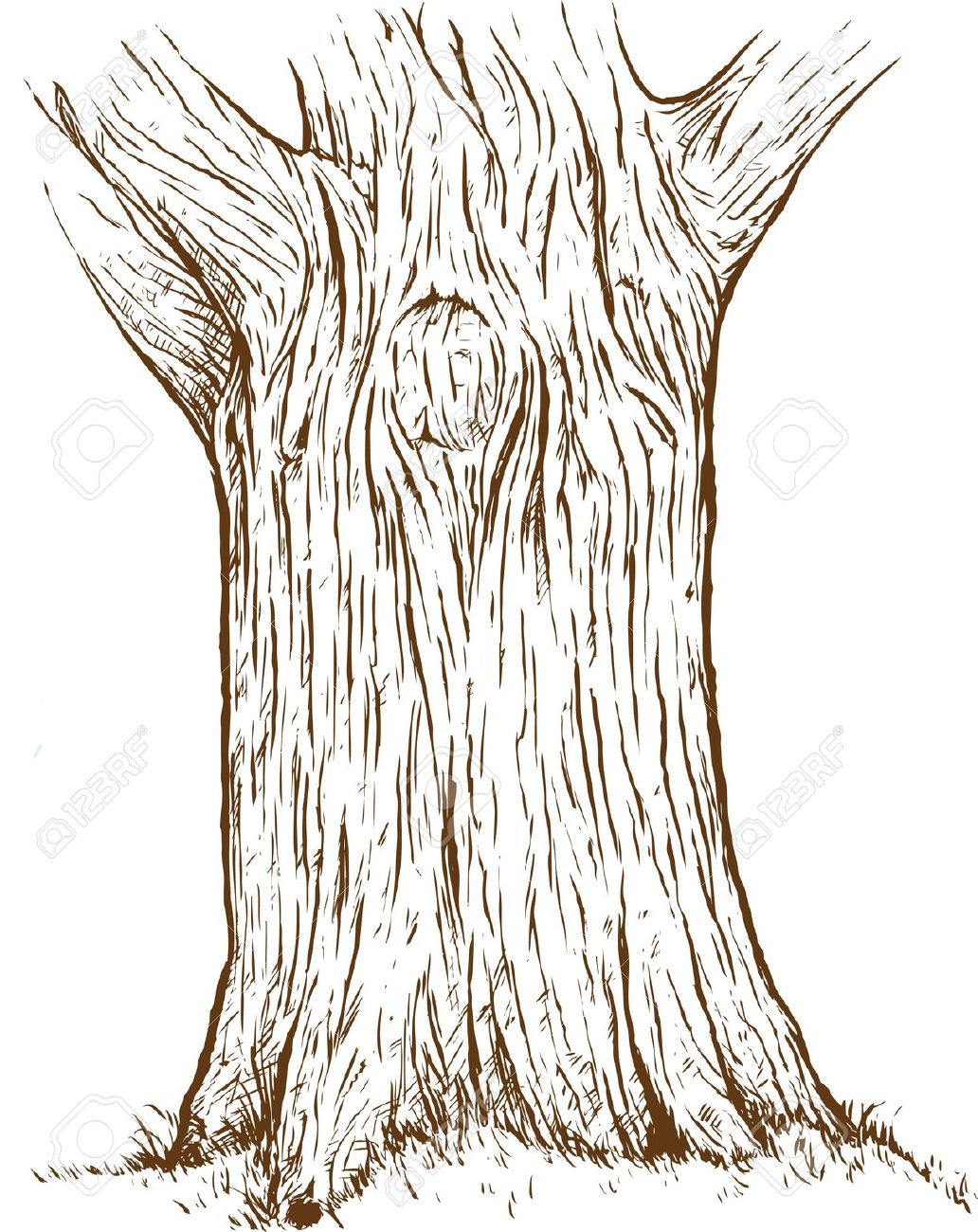 tree trunk clipart black and white - photo #30