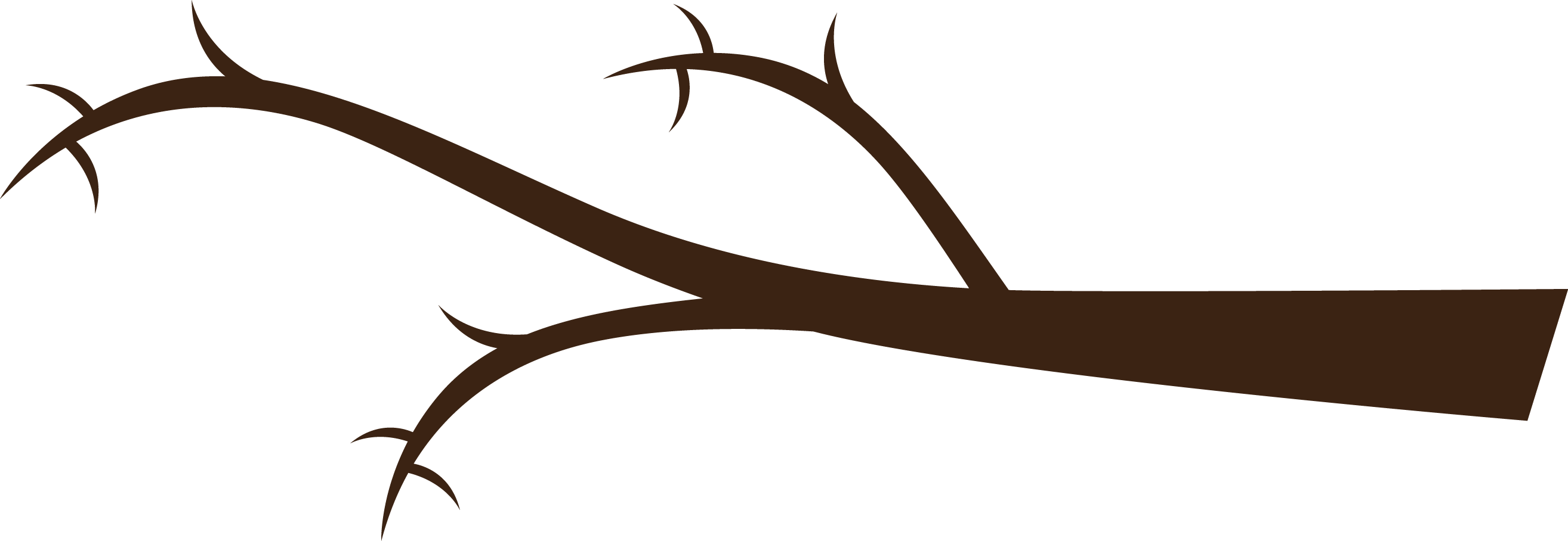 Tree Limb Clipart