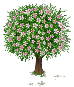 tree in spring clipart - Clipground
