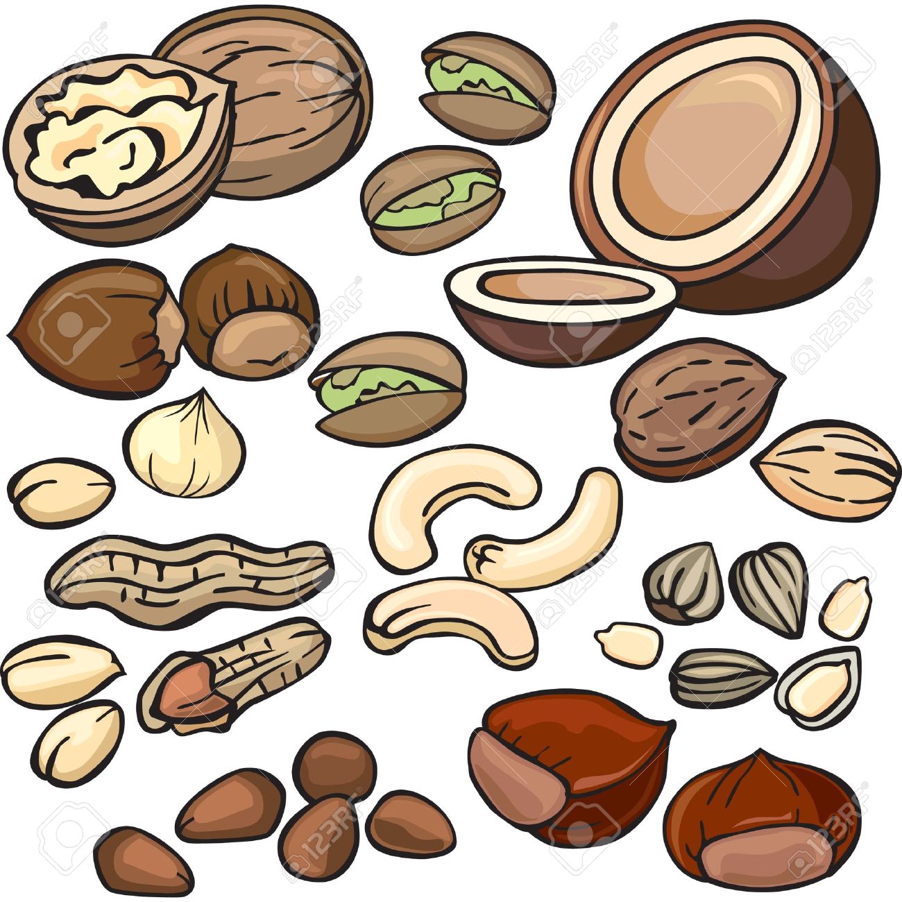 tree-nut-clipart-clipground