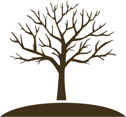 Bare trees clipart 20 free Cliparts | Download images on Clipground 2020