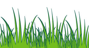 Tuft of tall wavy grass clipart - Clipground