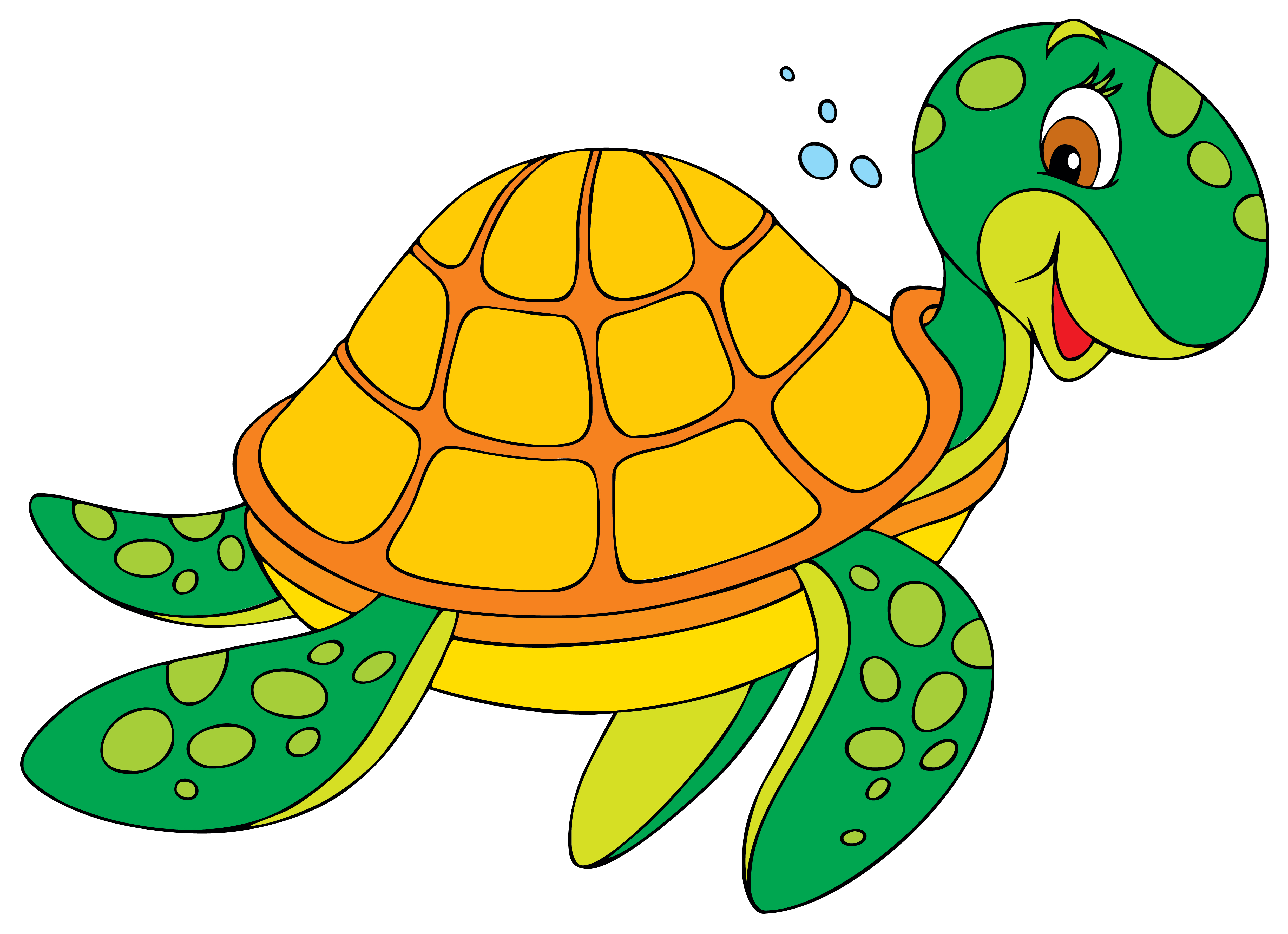 turtle swimming clipart - Clipground
