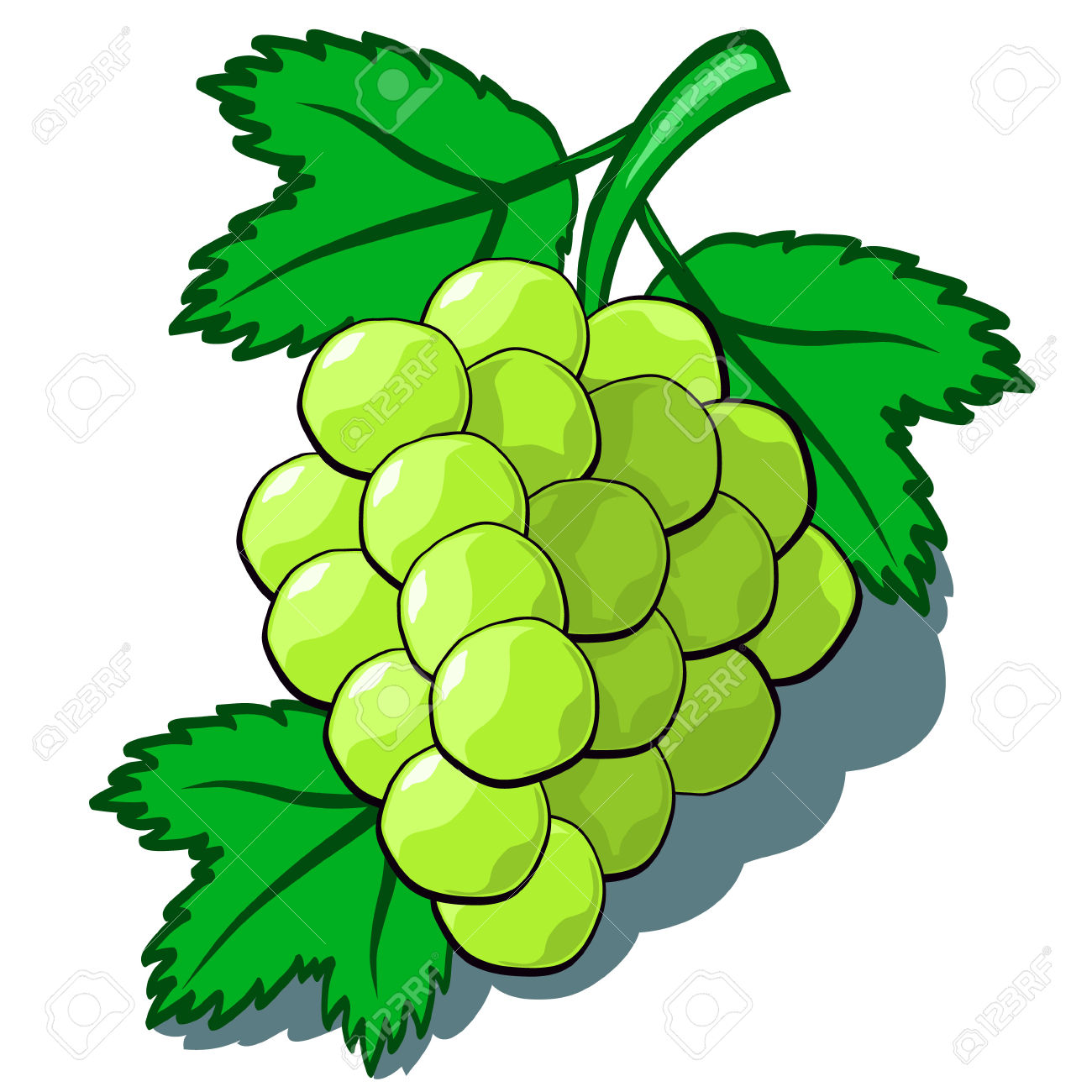 clipart green grapes - photo #23