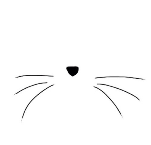 Whiskers clipart - Clipground