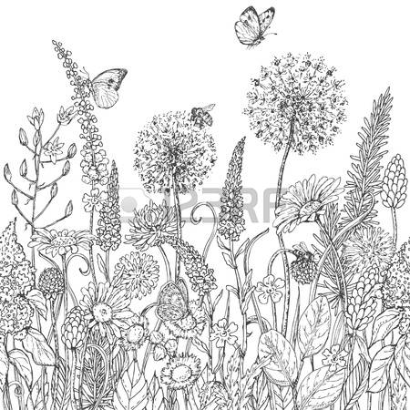 wildflower clipart black and white - Clipground