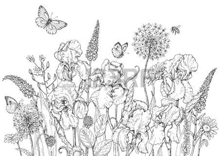 wildflower clipart black and white - Clipground