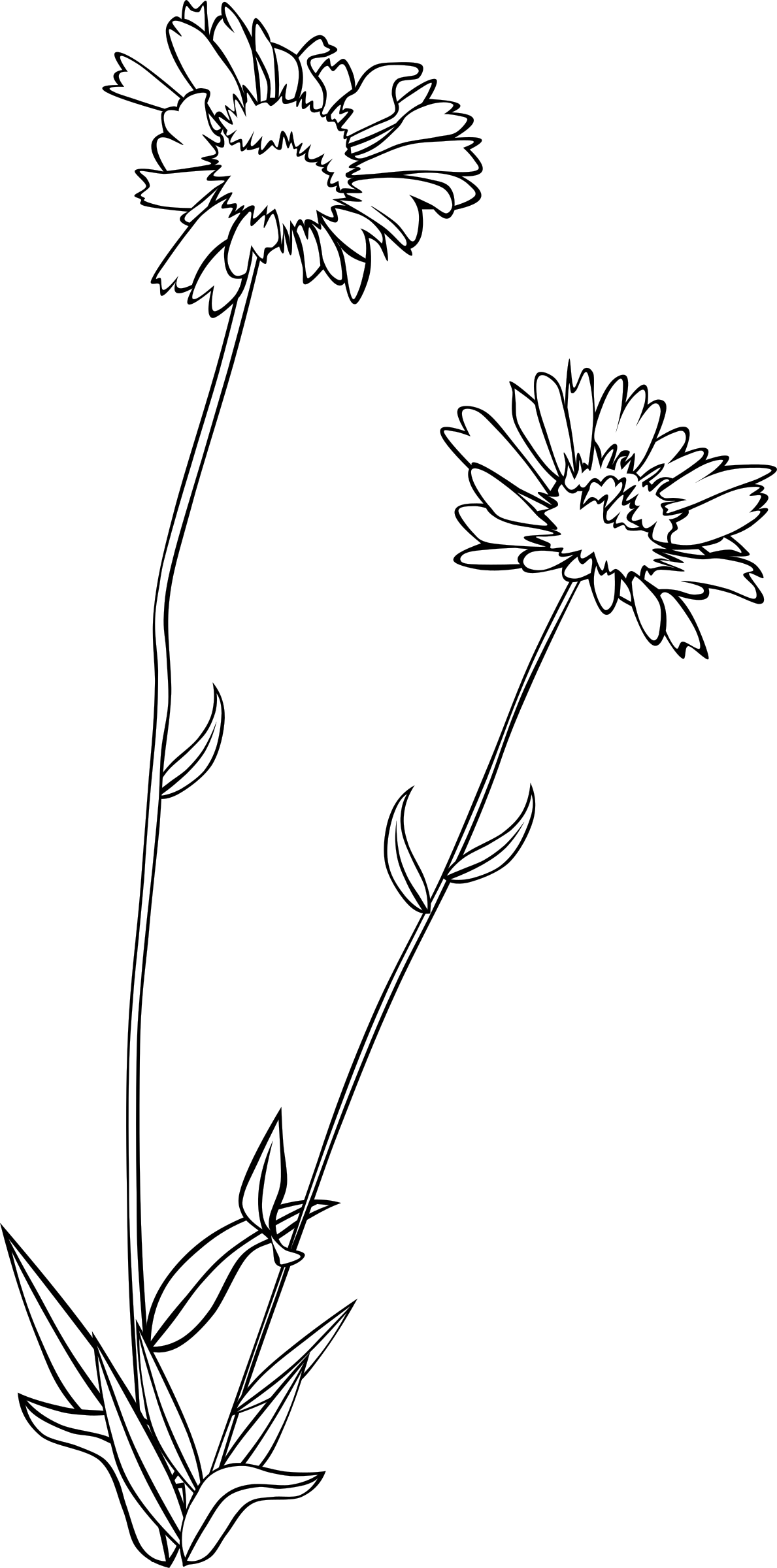 wildflower clipart black and white - Clipground