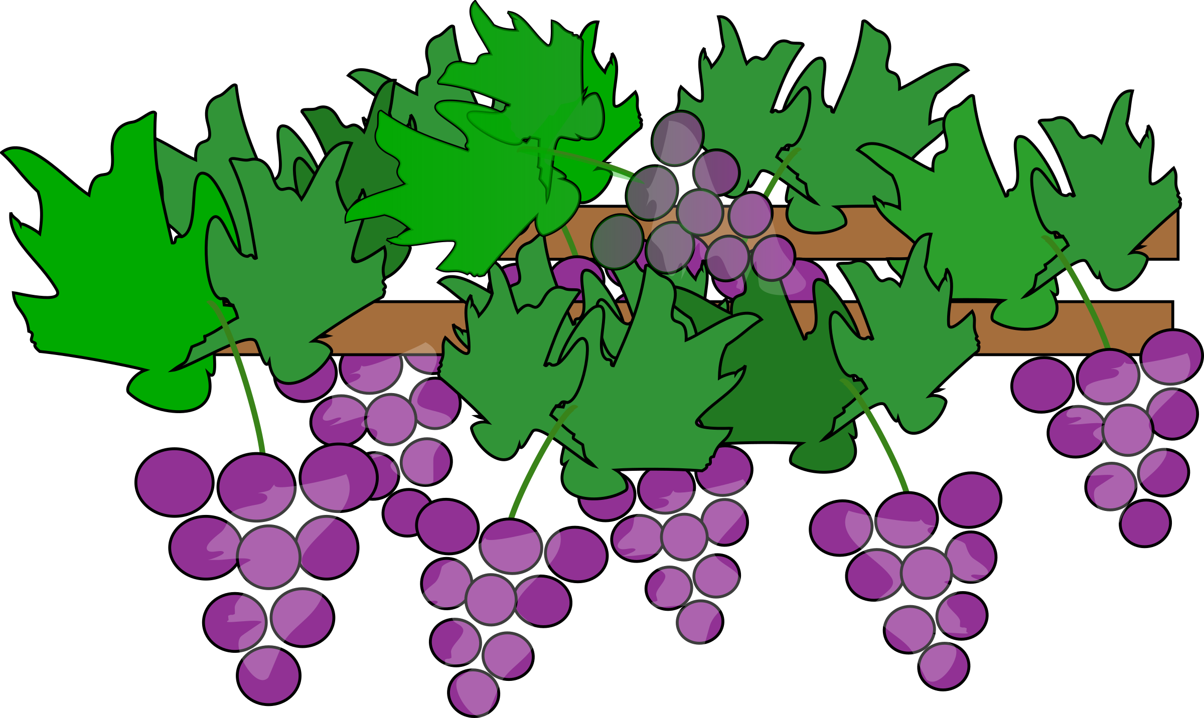 grapes plant clipart - Clipground