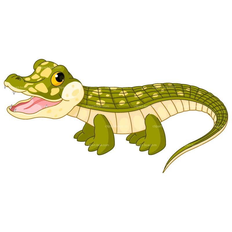 free baby alligator clipart - photo #39