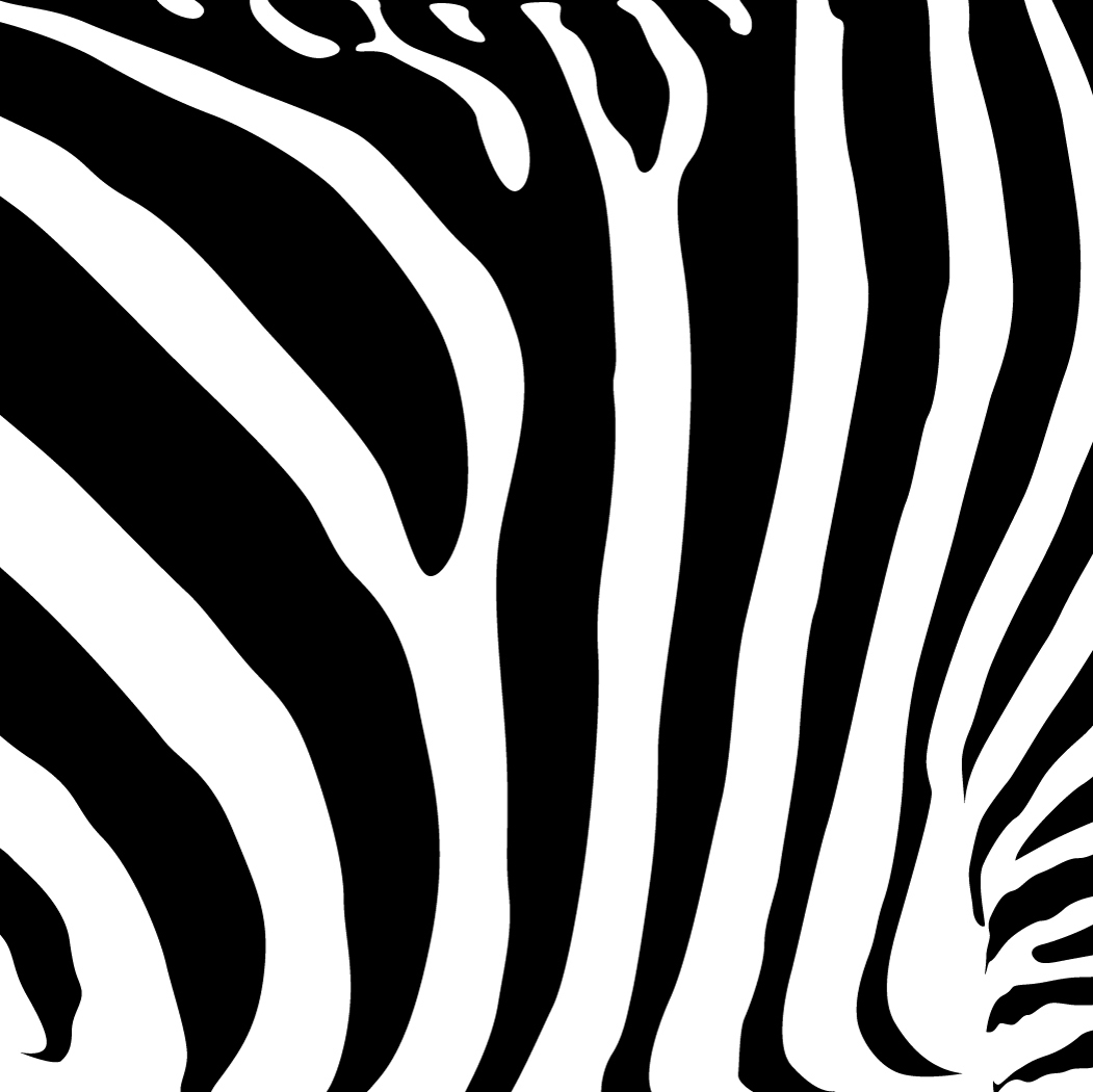 zebra stripes clipart - photo #28