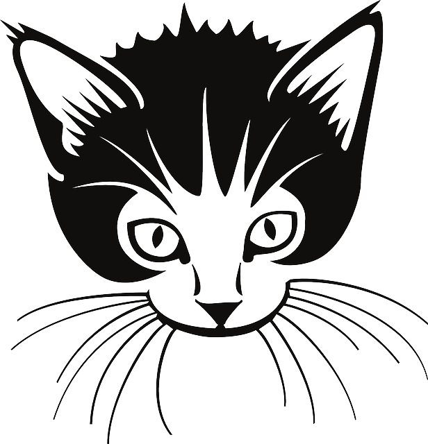 Free Free 118 Cat Whiskers Cat Face Svg Free SVG PNG EPS DXF File
