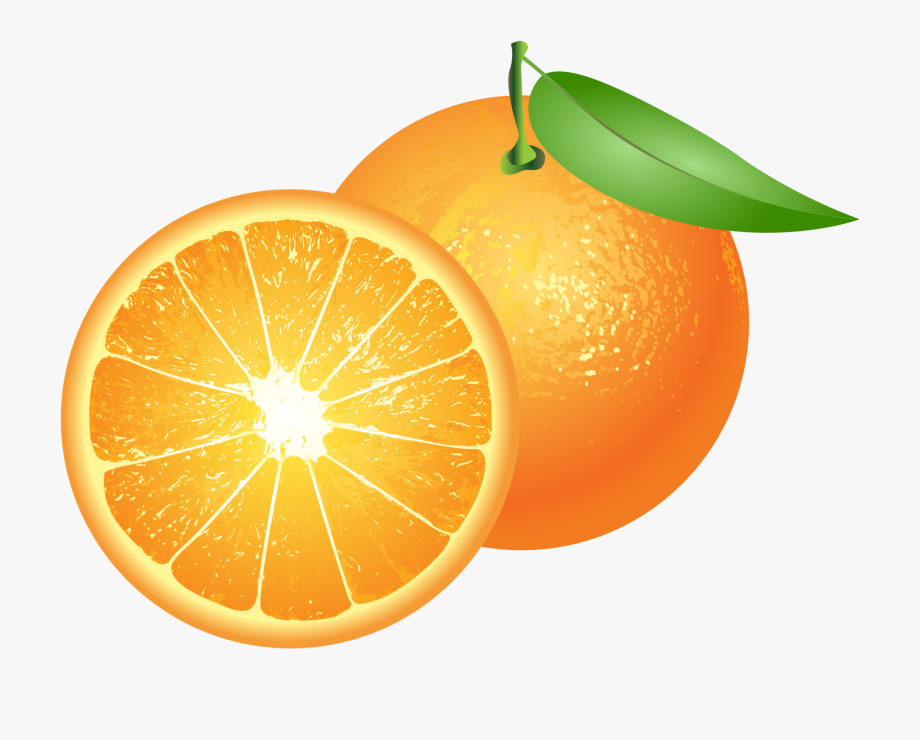  orange  free clipart  10 free Cliparts  Download images on 