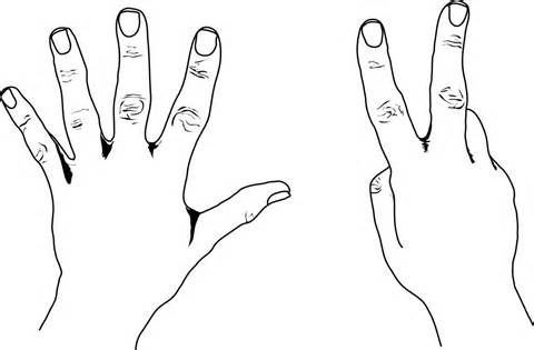 7 Fingers Clipart.