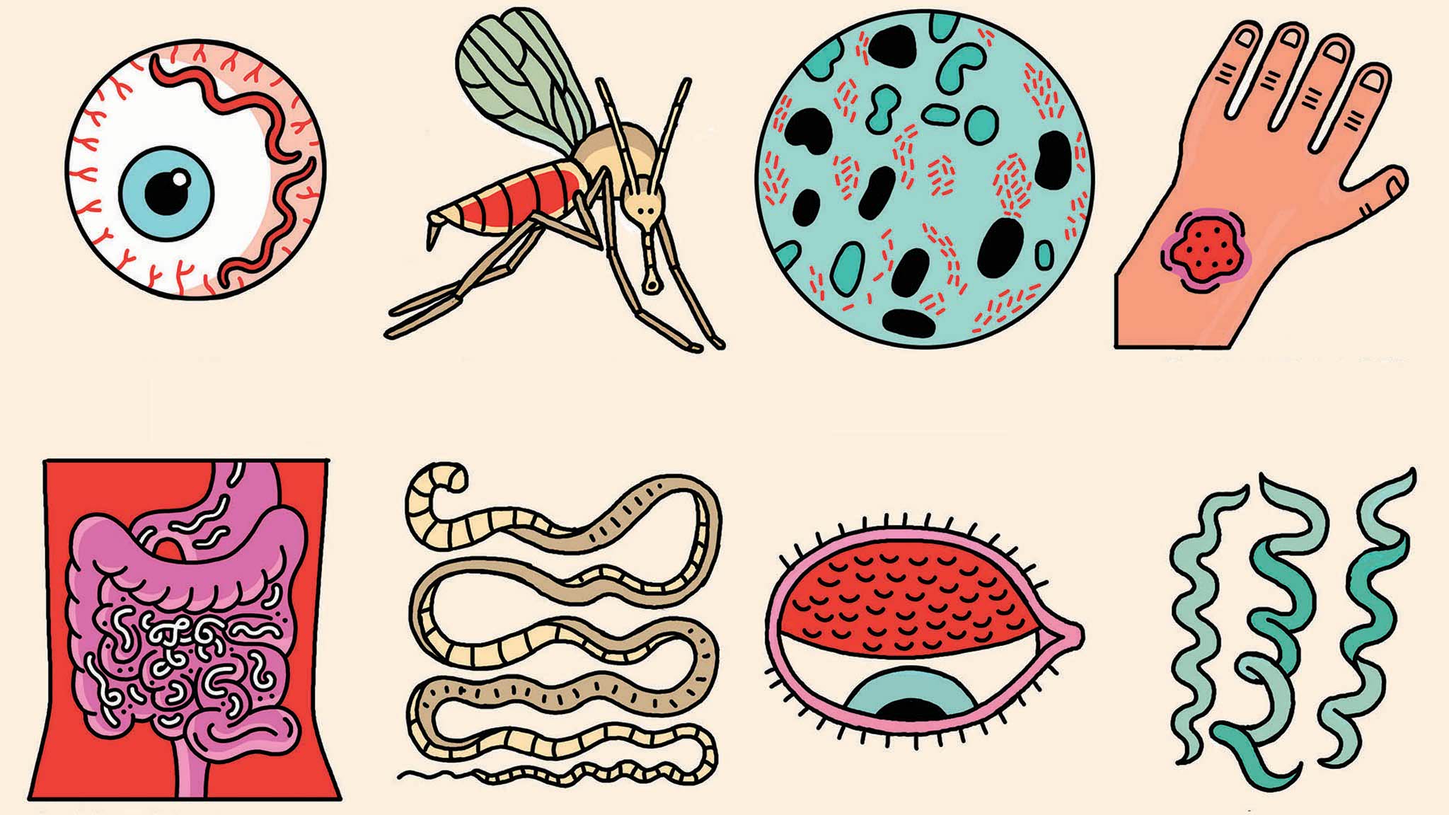 A guide to neglected tropical diseases prioritised by the.