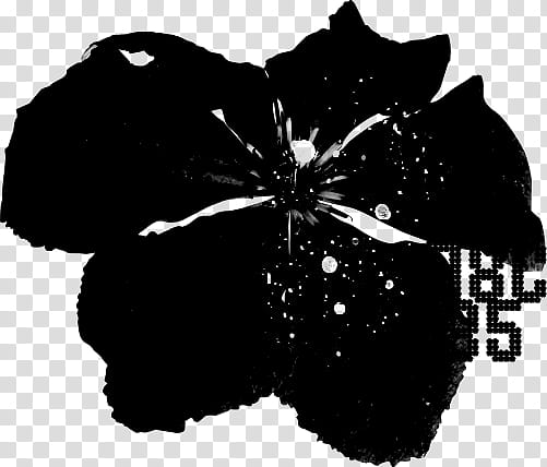 Brushset abstract flowers, black petaled flower transparent.