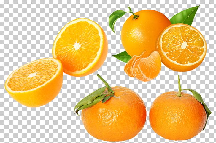 13 oranges clipart 10 free Cliparts | Download images on Clipground 2024