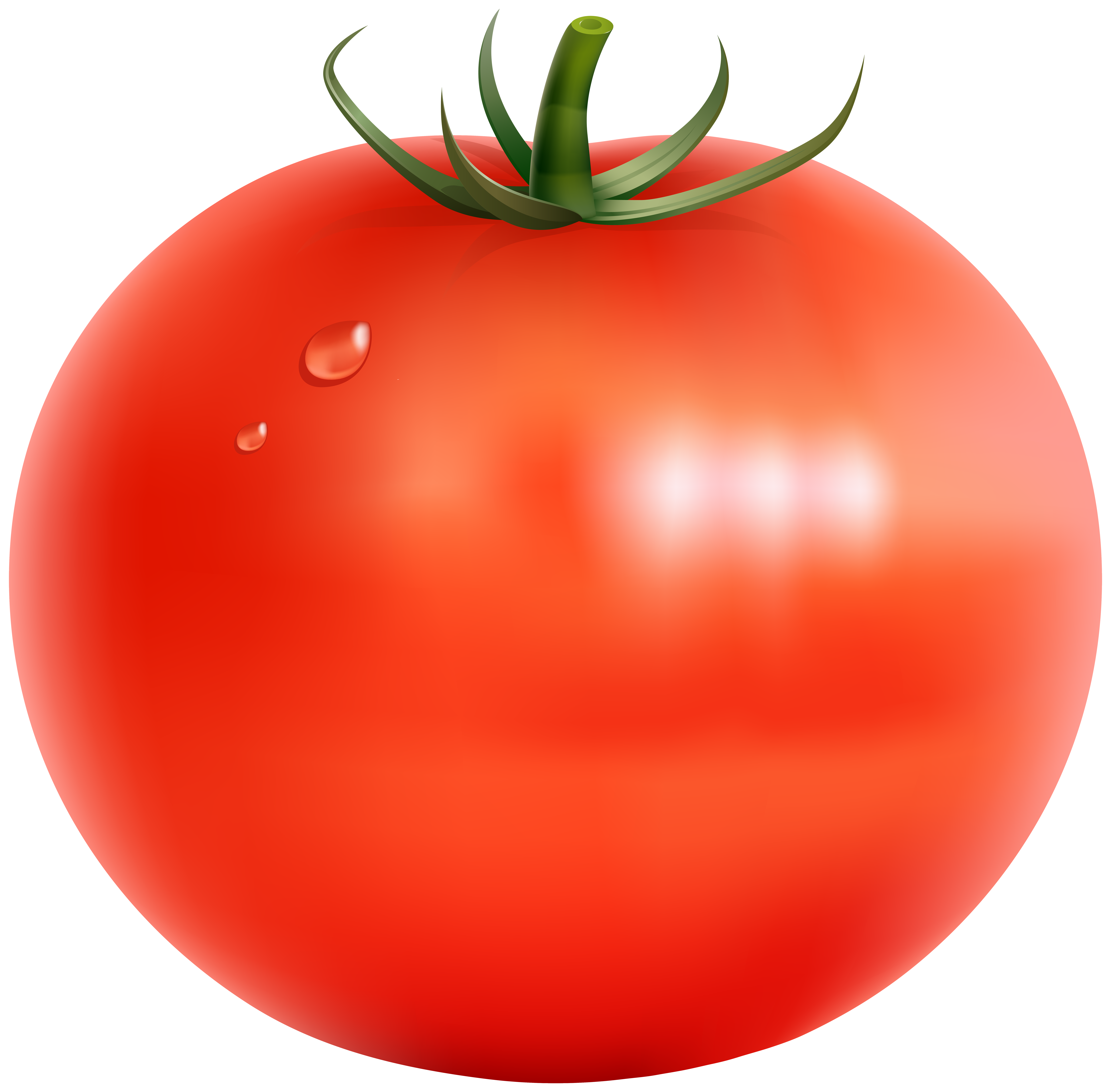 Tomato clipart transparent #14.