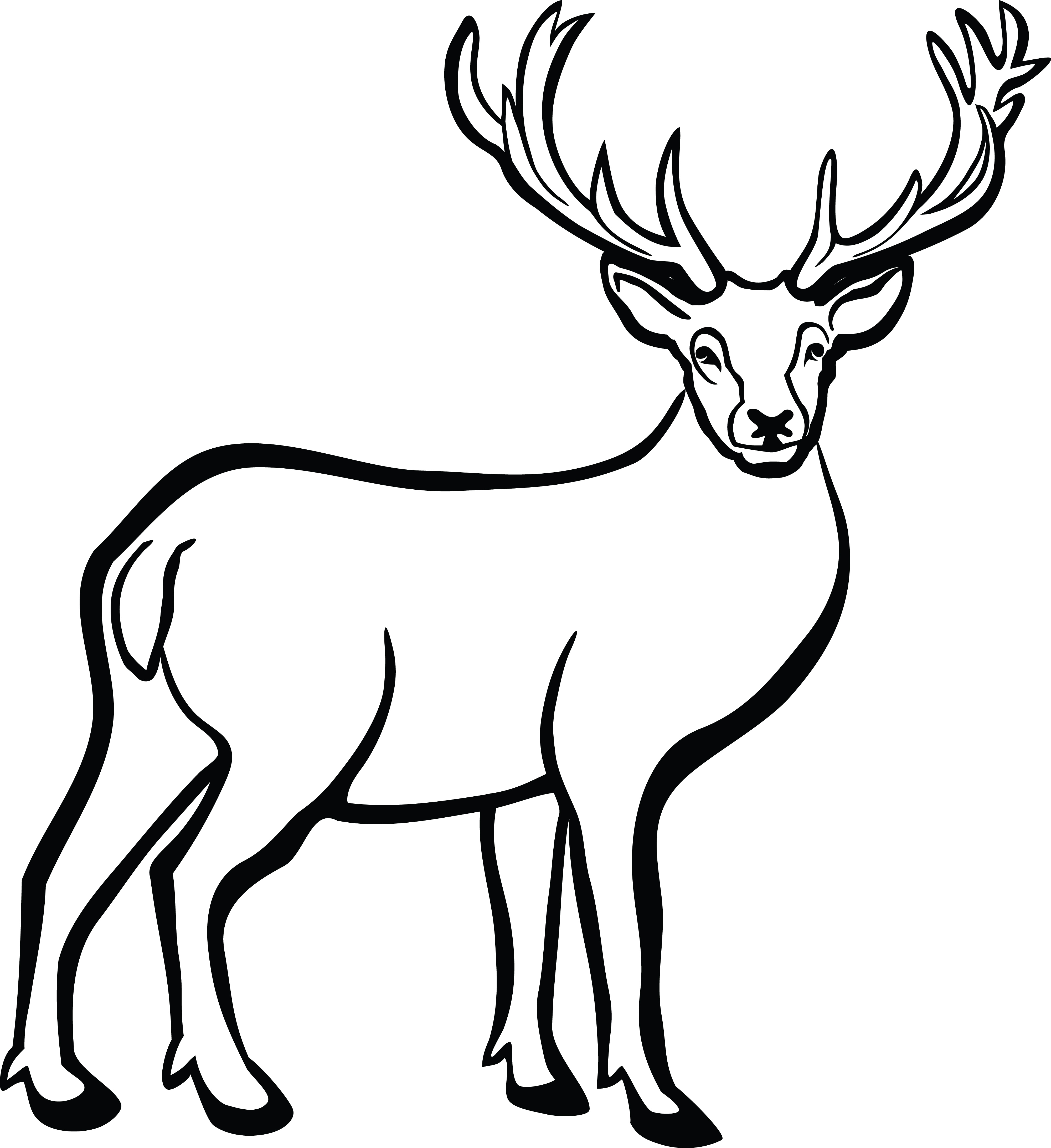 Buck Deer Clipart.