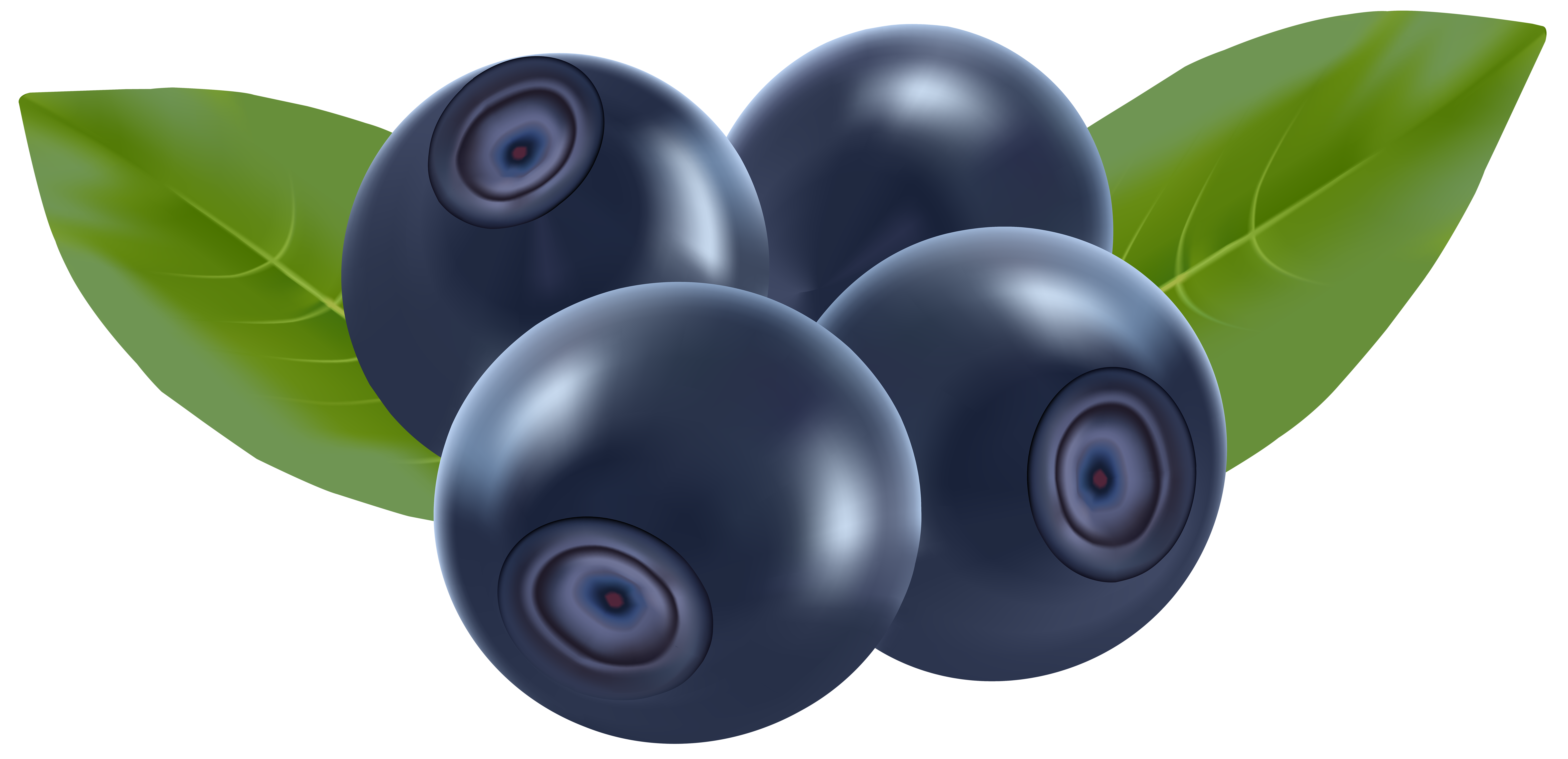 Blueberries PNG Clip Art.