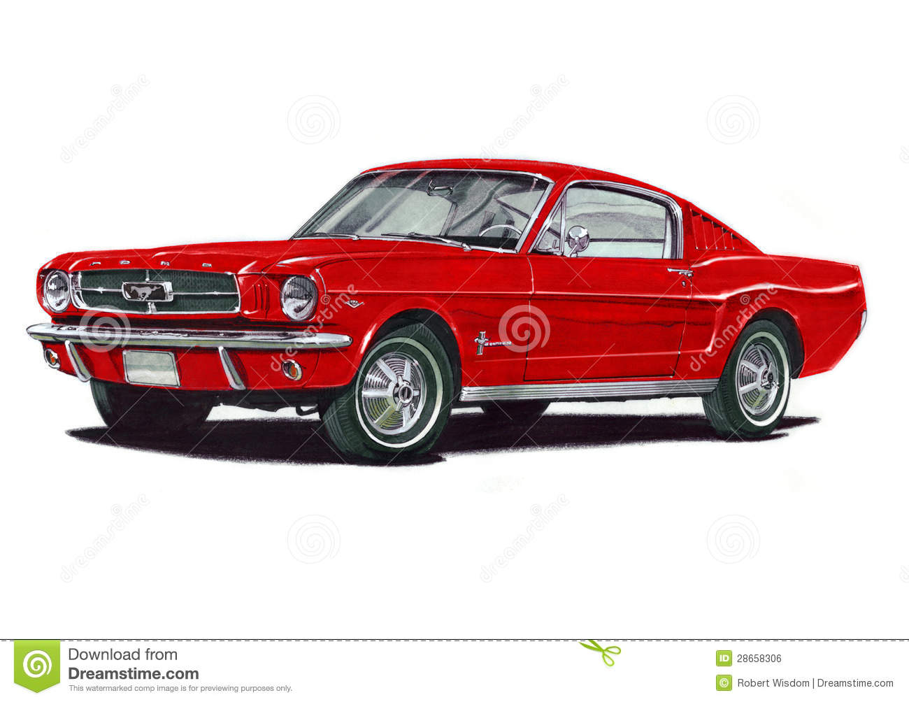 Mustang Stock Illustrations.