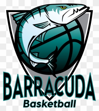 Barracuda Basketball.