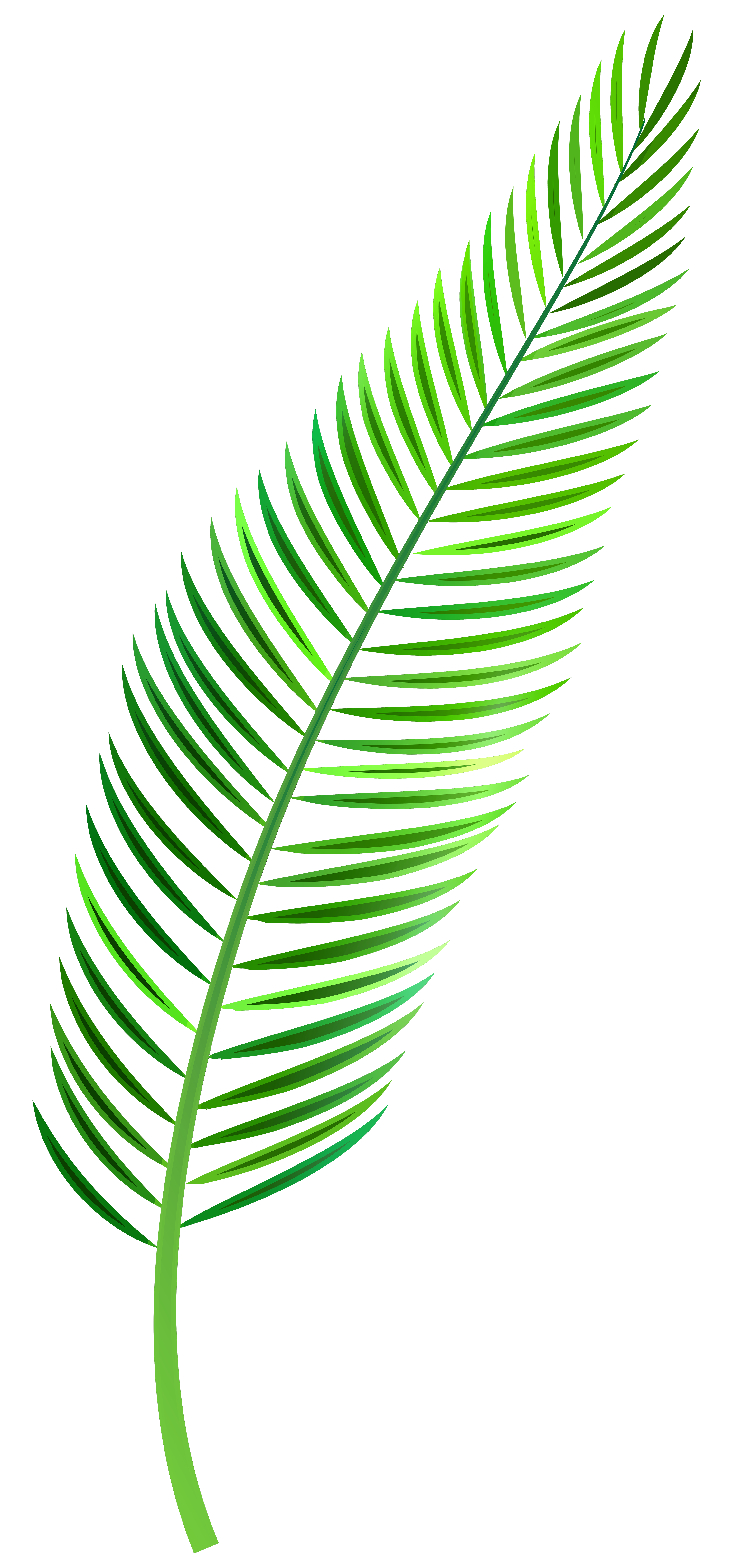 Palm Leaf PNG Clip Art.