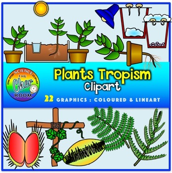 Plants Clipart.
