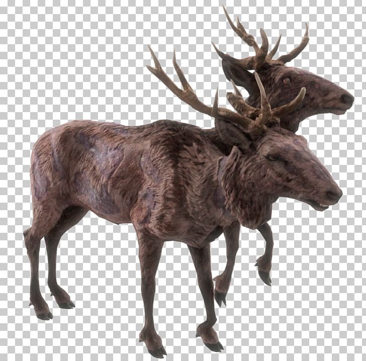 Fallout 4 Fallout 3 Fallout 2 Deer PNG, Clipart, Antler.