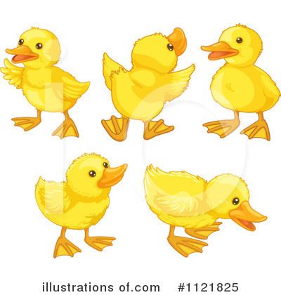 1000+ images about Ducks on Pinterest.