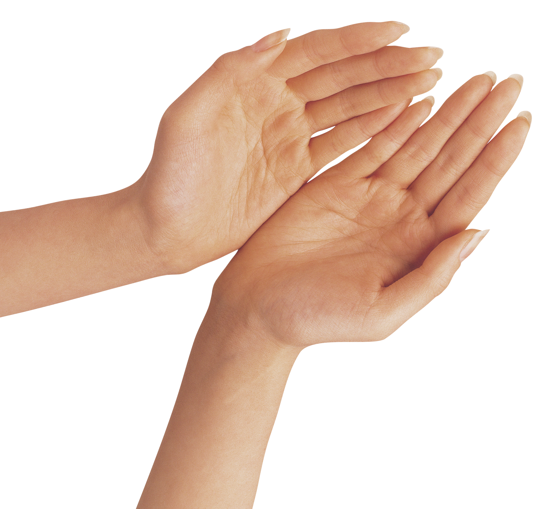 Two Hands PNG Clipart Image.