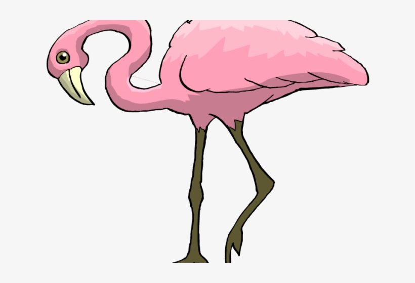 Flamingo Clipart Pink Animal.