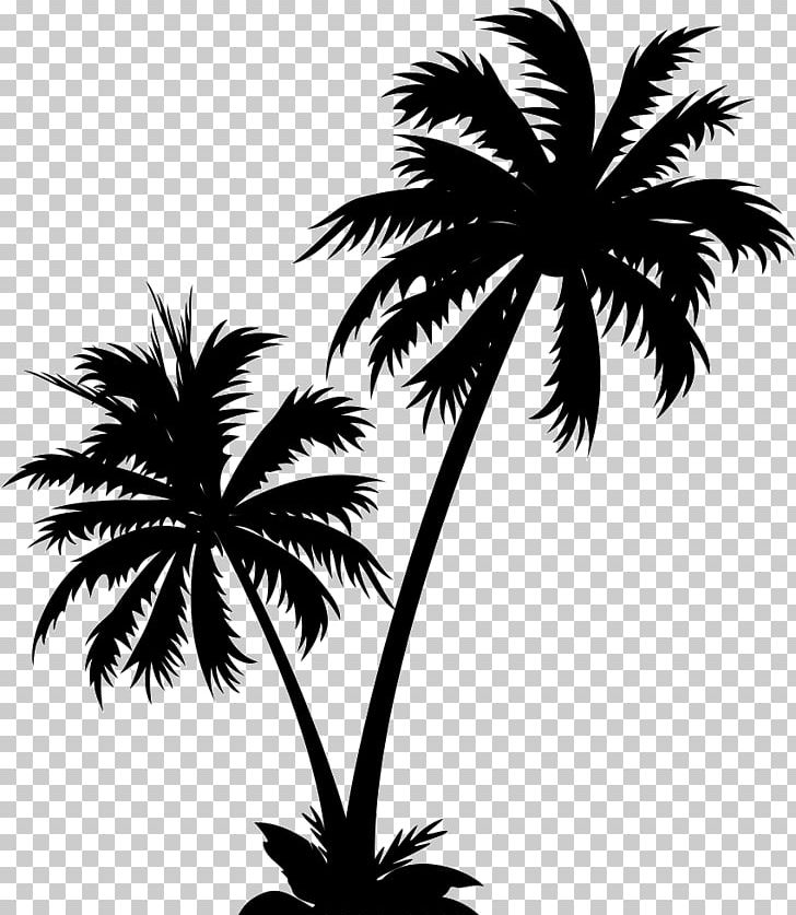 Graphics Palm Trees Illustration PNG, Clipart, Arecales.