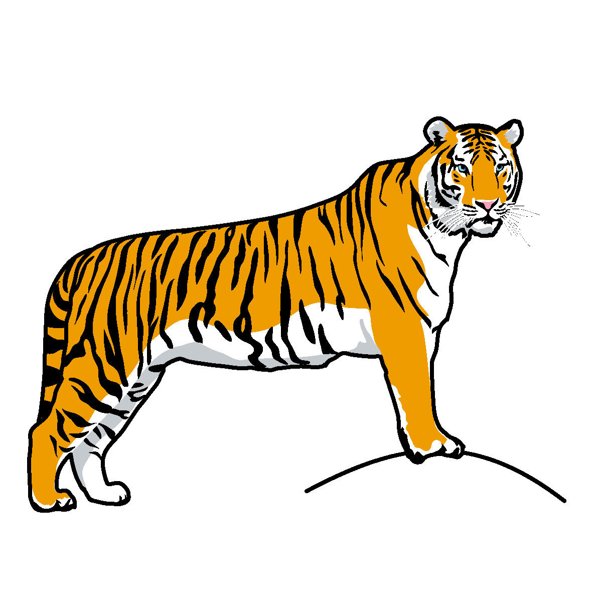 Free Tiger Cliparts, Download Free Clip Art, Free Clip Art.