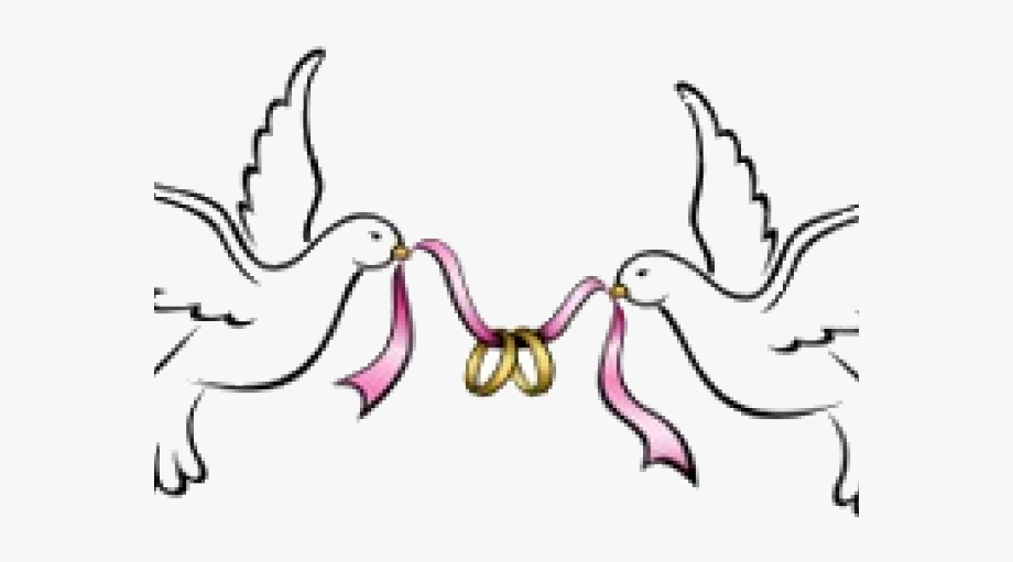 Turtle Dove Clipart Wedding Band.