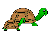 Two Turtles Clipart.