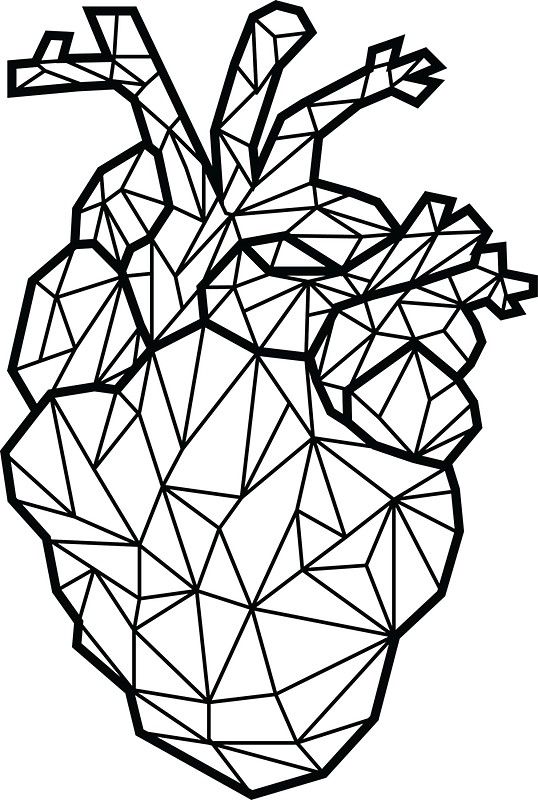 Anatomical Geometric Heart.