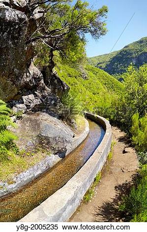 Stock Image of Levada das 25 Fontes, irrigation canal, Rabacal.