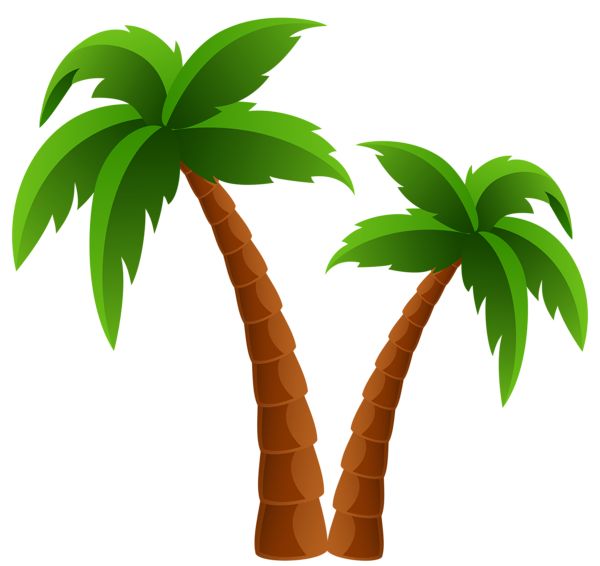 Palm Tree Clipart.