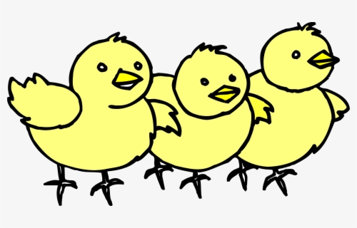Free Baby Chick Clip Art with No Background.