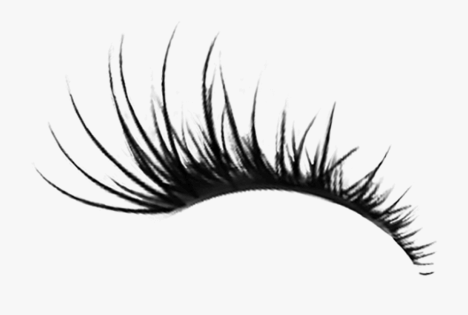 cartoon eyelashes clipart 10 free Cliparts | Download images on