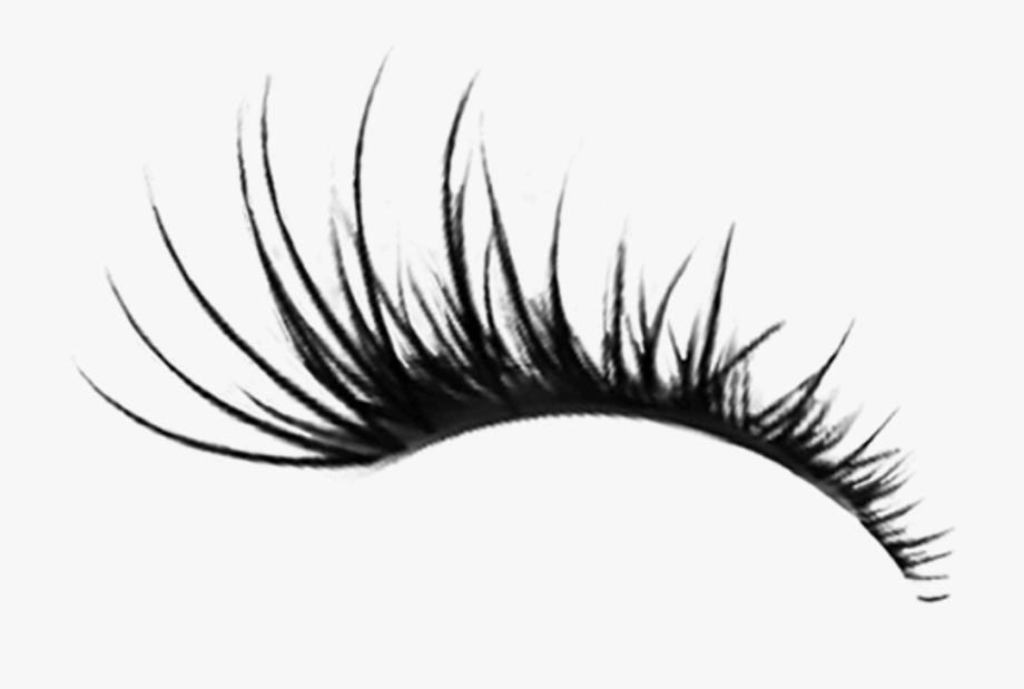 cartoon eyelashes clipart 10 free Cliparts Download images on