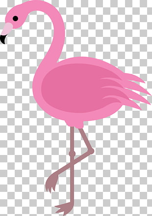 flamingo clipart pinterest